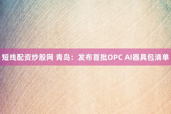 短线配资炒股网 青岛：发布首批OPC AI器具包清单