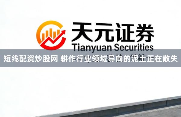 短线配资炒股网 耕作行业领域导向的泥土正在散失